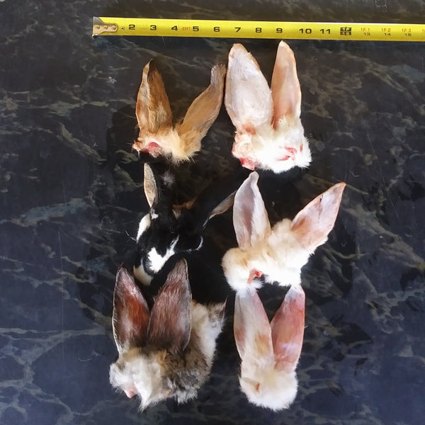 Raw Rabbit Ears – WholeFoods4Pets