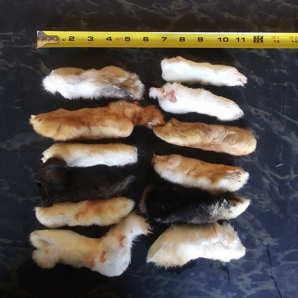 Raw Rabbbit Foot Raw Rabbit Feet – WholeFoods4Pets